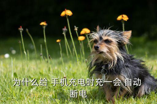 手機(jī)充滿電自動(dòng)斷電,手機(jī)電池充電自動(dòng)斷電保持原樣
