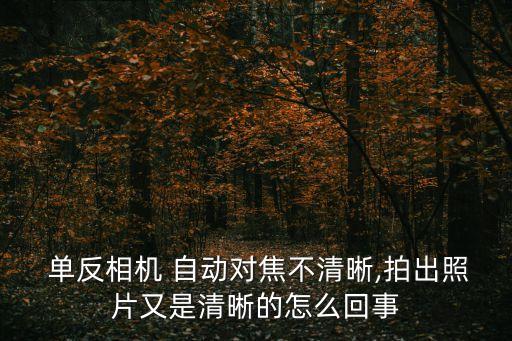 單反自動對焦不準(zhǔn),下列問題會造成單反no自動focus