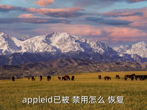 appleid已被 禁用怎么 恢復(fù)