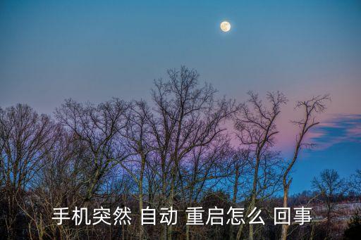  手機(jī)突然 自動(dòng) 重啟怎么 回事