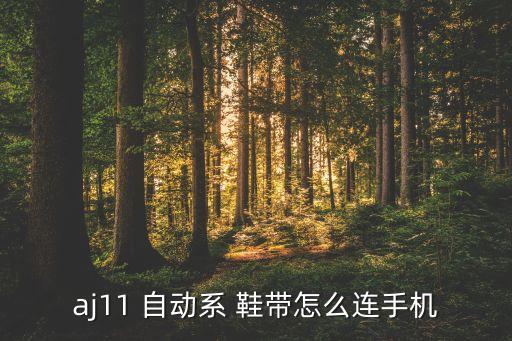 aj11 自動(dòng)系 鞋帶怎么連手機(jī)