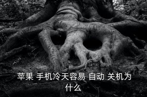  蘋果 手機冷天容易 自動 關(guān)機為什么