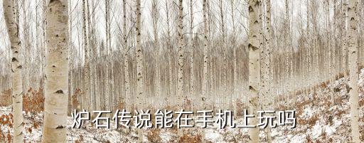 爐石傳說自動(dòng)平板電腦,ipad與電腦連接后可在手機(jī)運(yùn)行游戲