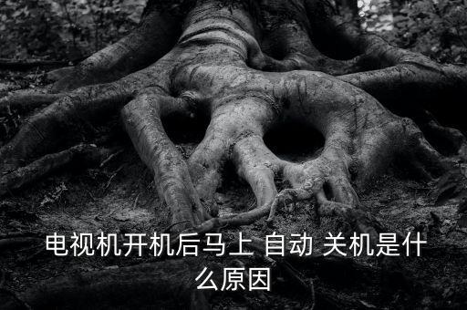  電視機(jī)開(kāi)機(jī)后馬上 自動(dòng) 關(guān)機(jī)是什么原因