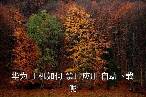 禁止手機(jī)應(yīng)用自動(dòng)安裝,答案適用于華為小米等各大品牌機(jī)型