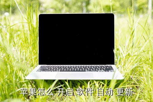 ios開啟軟件自動更新,軟件自動更新如何開啟?