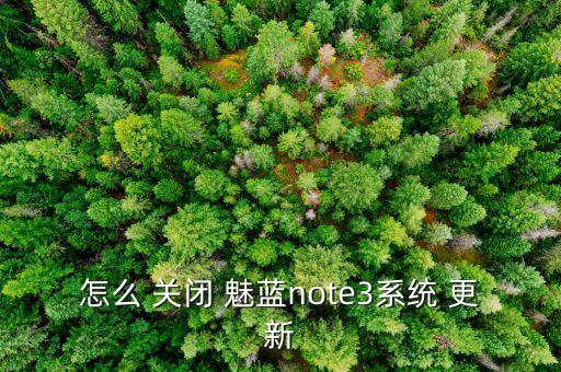 魅藍(lán)3自動(dòng)更新怎么關(guān)閉,華為手機(jī)怎么辦?
