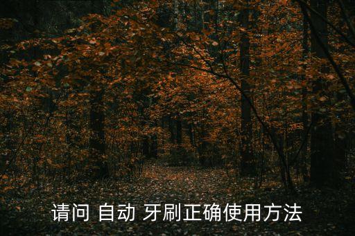 請(qǐng)問 自動(dòng) 牙刷正確使用方法