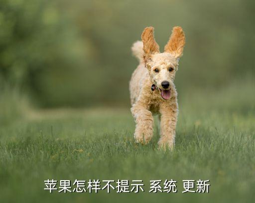 蘋果怎樣不提示 系統(tǒng) 更新