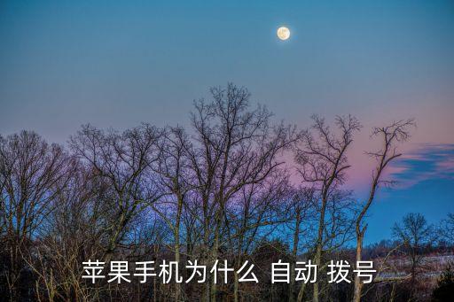 蘋果自動連續(xù)撥號,蘋果-2撥號如何設(shè)置好朋友-自動重撥?