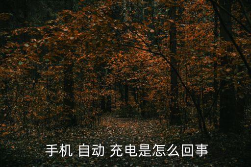  手機(jī) 自動(dòng) 充電是怎么回事