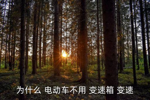 為什么 電動(dòng)車不用 變速箱 變速