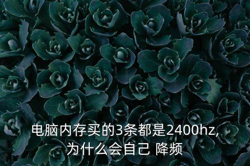 ddr4自動(dòng)降頻,本屆大選提名結(jié)果出爐