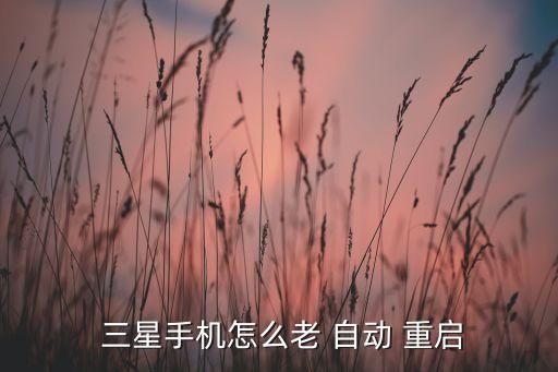 三星手機(jī)怎么老 自動(dòng) 重啟