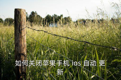 如何關(guān)閉蘋(píng)果手機(jī) ios 自動(dòng) 更新