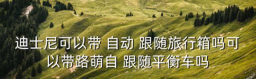 迪士尼可以帶 自動 跟隨旅行箱嗎可以帶路萌自 跟隨平衡車嗎