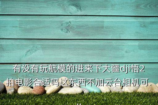 有沒(méi)有玩航模的進(jìn)來(lái)下大疆dji悟2拍電影合適嗎這東西不加云臺(tái)相機(jī)可...