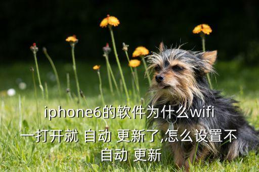 appwifi自動更新,蘋果手機應(yīng)用如何禁用自動更新軟件