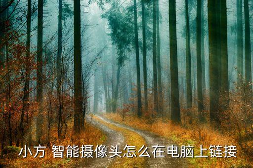 小方 智能攝像頭怎么在電腦上鏈接