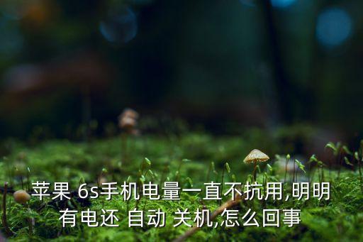 蘋果 6s手機(jī)電量一直不抗用,明明有電還 自動(dòng) 關(guān)機(jī),怎么回事