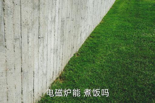 電磁爐能 煮飯嗎