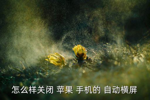 怎么樣關(guān)閉 蘋(píng)果 手機(jī)的 自動(dòng)橫屏