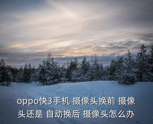 oppo快3手機(jī) 攝像頭換前 攝像頭還是 自動(dòng)換后 攝像頭怎么辦
