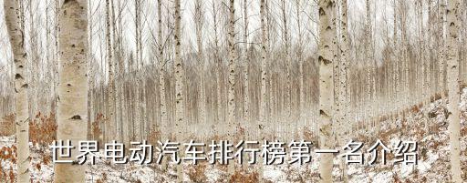 自動駕駛?cè)?排名,全球電動車排名出爐!日產(chǎn)聆風榮登榜首