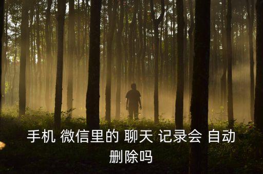 微信自動屏蔽聊天記錄嗎,手機微信聊天記錄不會被自動刪除