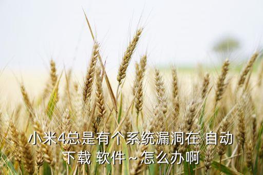  小米4總是有個系統(tǒng)漏洞在 自動 下載 軟件～怎么辦啊