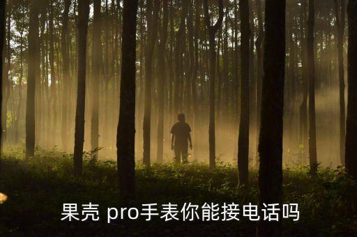  果殼 pro手表你能接電話嗎