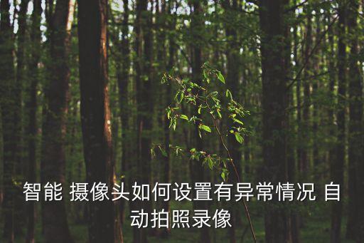 智能 攝像頭如何設(shè)置有異常情況 自動拍照錄像