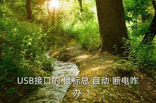 鼠標(biāo) 自動斷電,鼠標(biāo)斷電怎么辦?