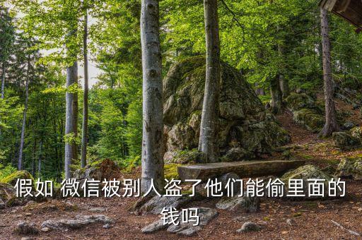 假如 微信被別人盜了他們能偷里面的錢(qián)嗎