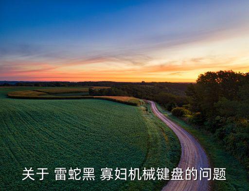 雷蛇 黑寡婦 自動(dòng)打字,如何使用綠軸和免費(fèi)配件