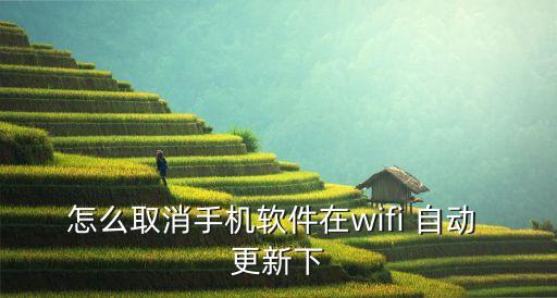 怎么取消手機(jī)軟件在wifi 自動(dòng) 更新下