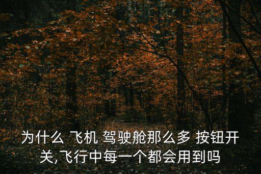 飛機(jī)自動(dòng)駕駛按鈕,飛行員的職業(yè)生涯
