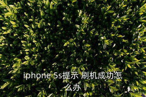 iphone 5s提示 刷機(jī)成功怎么辦