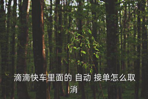  滴滴快車里面的 自動 接單怎么取消