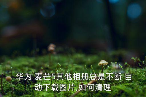  華為 麥芒5其他相冊總是不斷 自動下載圖片,如何清理