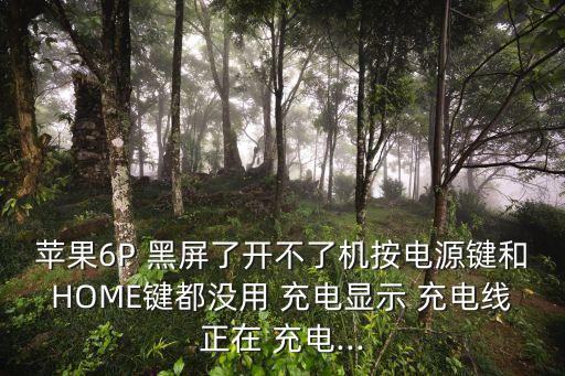 蘋果6P 黑屏了開不了機按電源鍵和HOME鍵都沒用 充電顯示 充電線正在 充電...