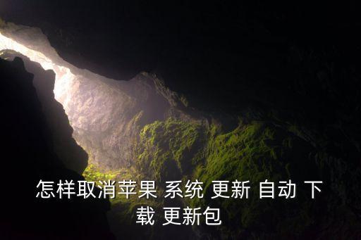 怎樣取消蘋果 系統(tǒng) 更新 自動 下載 更新包