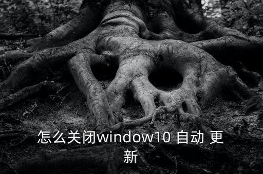 widows10自動更新,win10自動更新如何進(jìn)行?