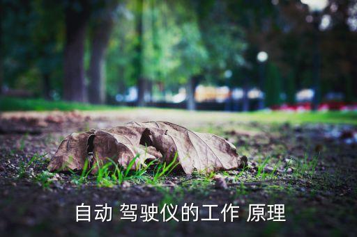  自動 駕駛儀的工作 原理