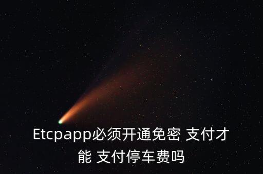 Etcpapp必須開通免密 支付才能 支付停車費嗎
