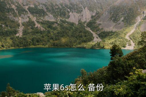 蘋果6S如何自動備份,蘋果手機應(yīng)用如何進行備份?