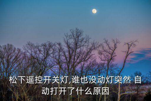 松下遙控開關(guān)燈,誰也沒動燈突然 自動打開了什么原因