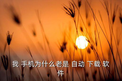 手機(jī)軟件自動下載軟件,手機(jī)自帶應(yīng)用下載to手機(jī)關(guān)閉兩個功能