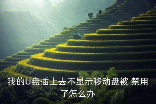 u盤自動禁用了,系統(tǒng)出現(xiàn)病例如何恢復(fù)正常運作?