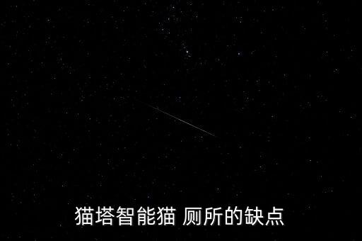 貓塔智能貓 廁所的缺點